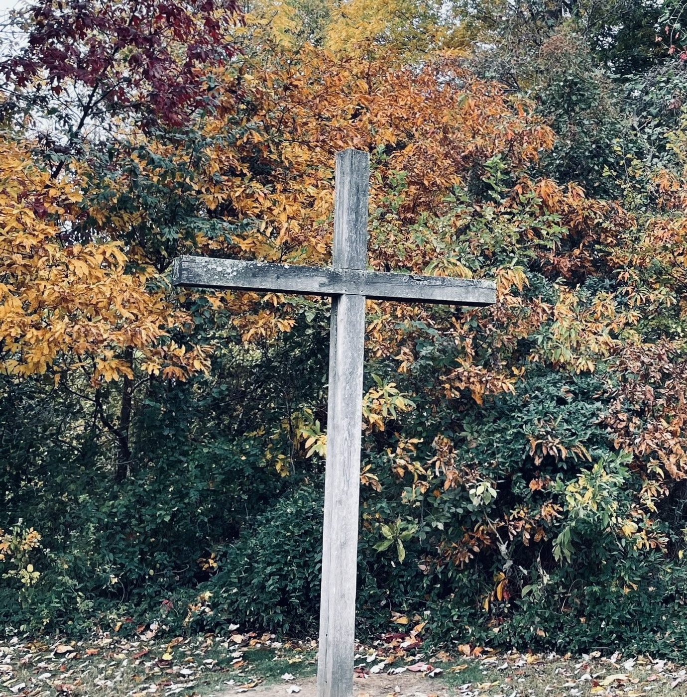 Our High Priest: Meditations for Good Friday and Easter Sunday