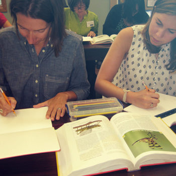 Pg 62 Training Summer Institute